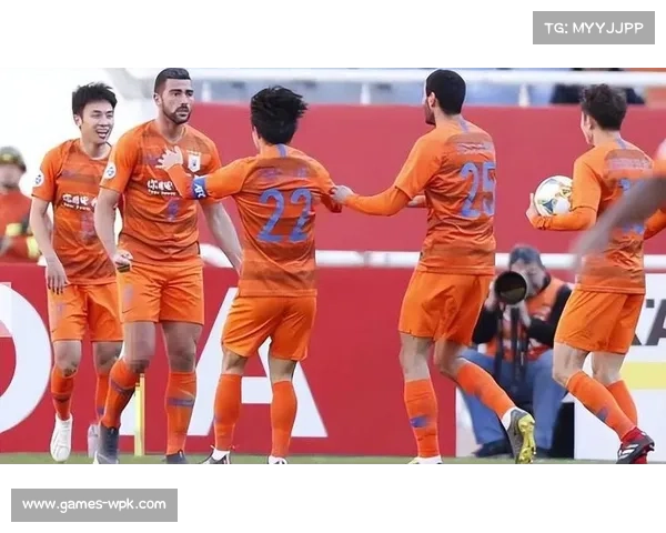 多家俱乐部主场通过亚足联考察，将承办亚冠赛事